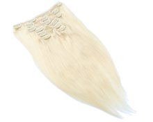 Load image into Gallery viewer, blonde clip in extensions
