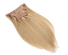 Load image into Gallery viewer, Ash Blonde (#16) - Clip In Hair Extensions