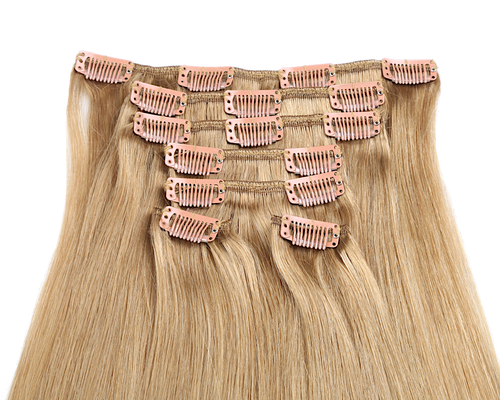 Ash Blonde (#16) - Clip In Hair Extensions